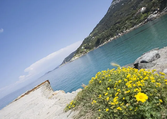 Barsalini 3*